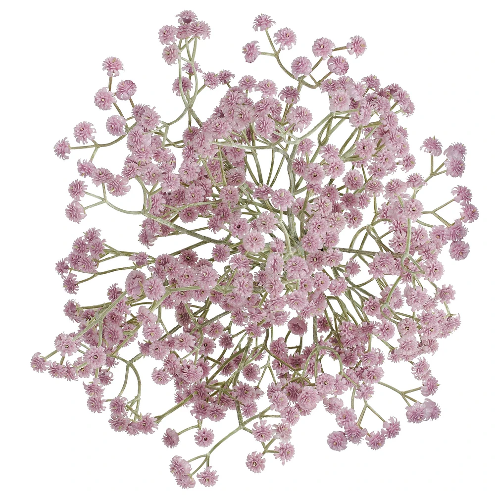 Branche soupir de bébé - Lilas