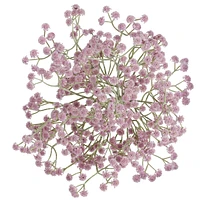 Branche soupir de bébé - Lilas