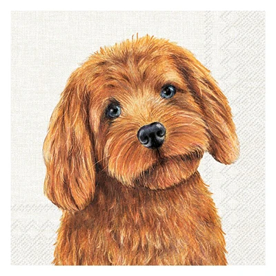 Serviettes de table - Charlot labradoodle