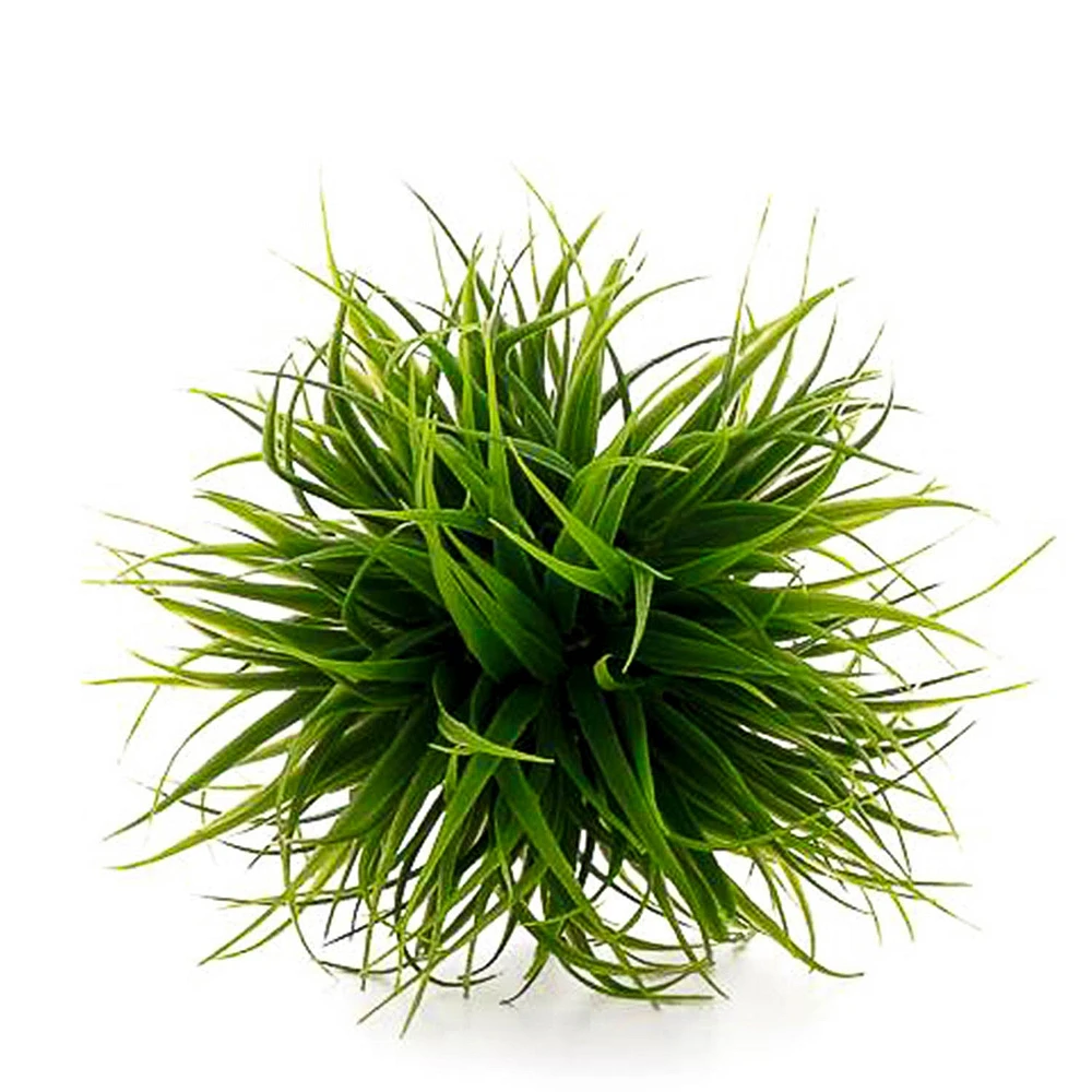 Grass ball