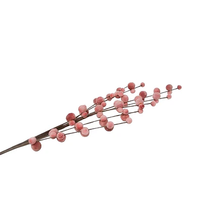 Tige de chatons - Rose