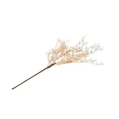 Branche de muehlenbeckia