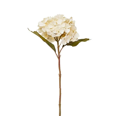 Tige de fleur blanche