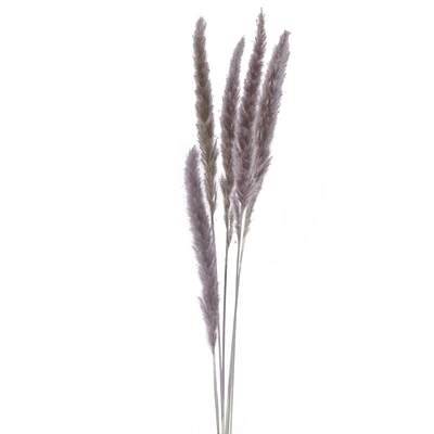 Ensemble de 6 tiges de plumes - Taupe