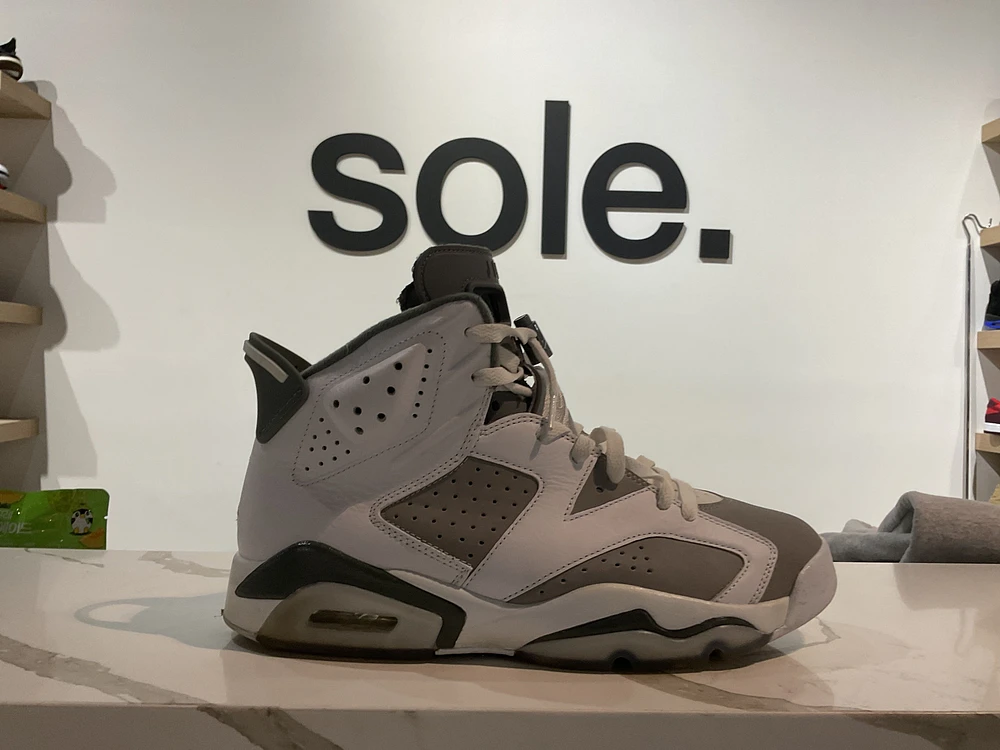 Pre-Owned Air Jordan 6 Retro 'Cool Grey'