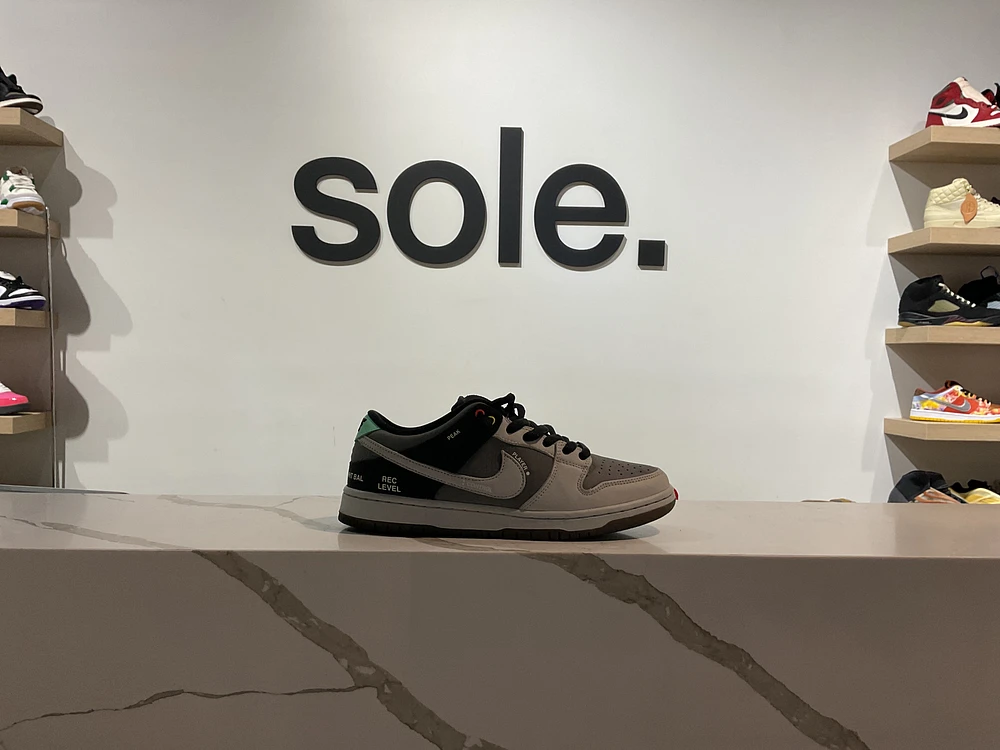Pre-Owned Dunk Low SB 'Camcorder'