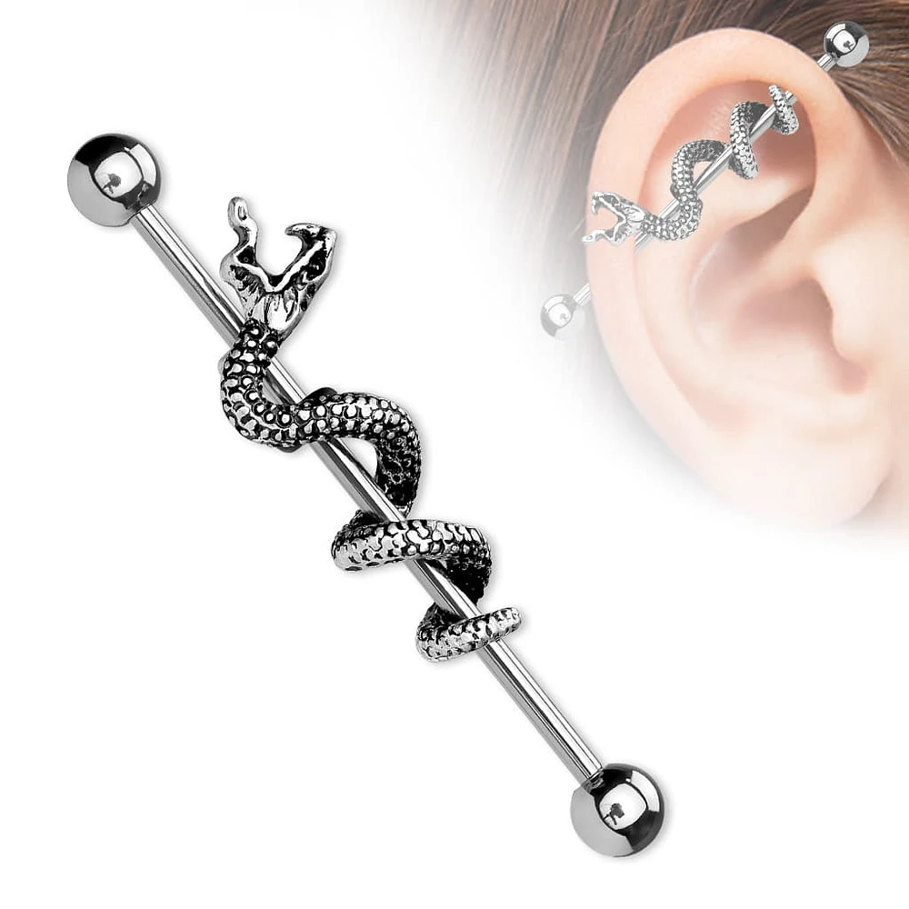 Wrapped Snake Fancy Industrial Barbell 14g