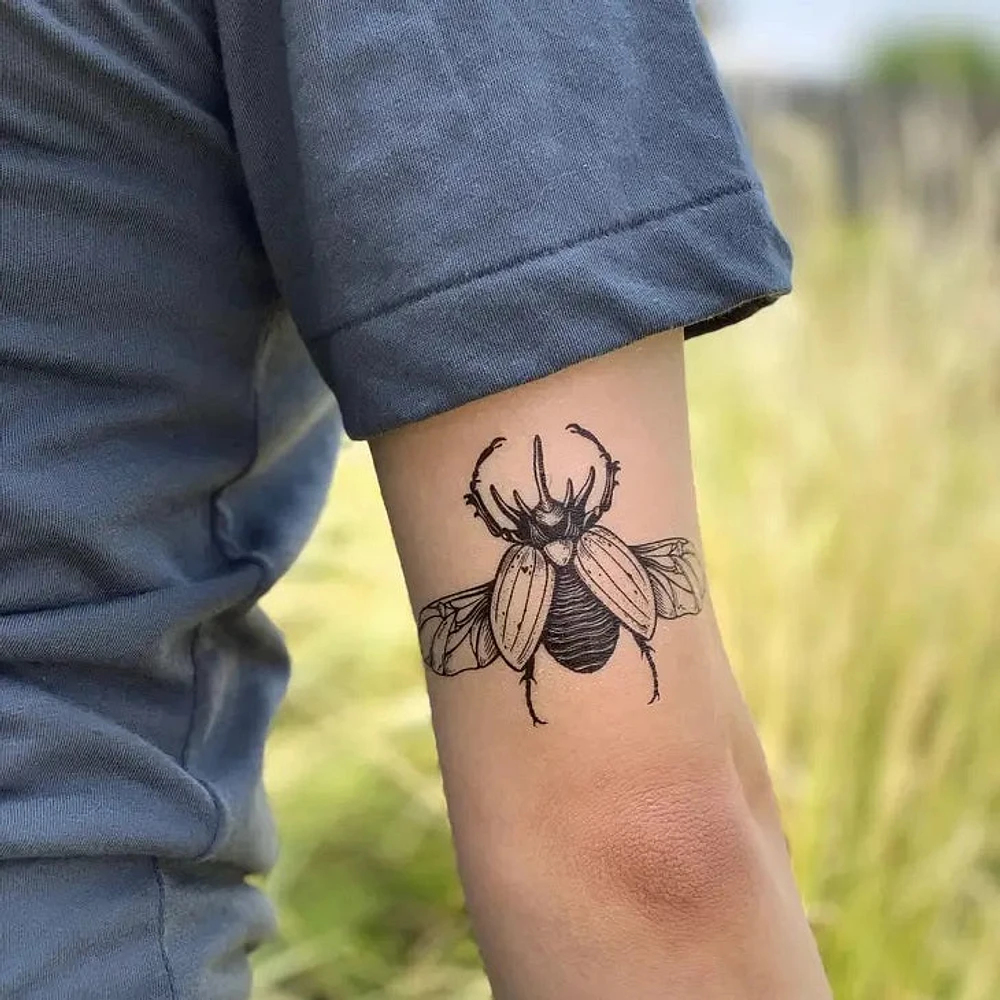 Escarabajo rinoceronte