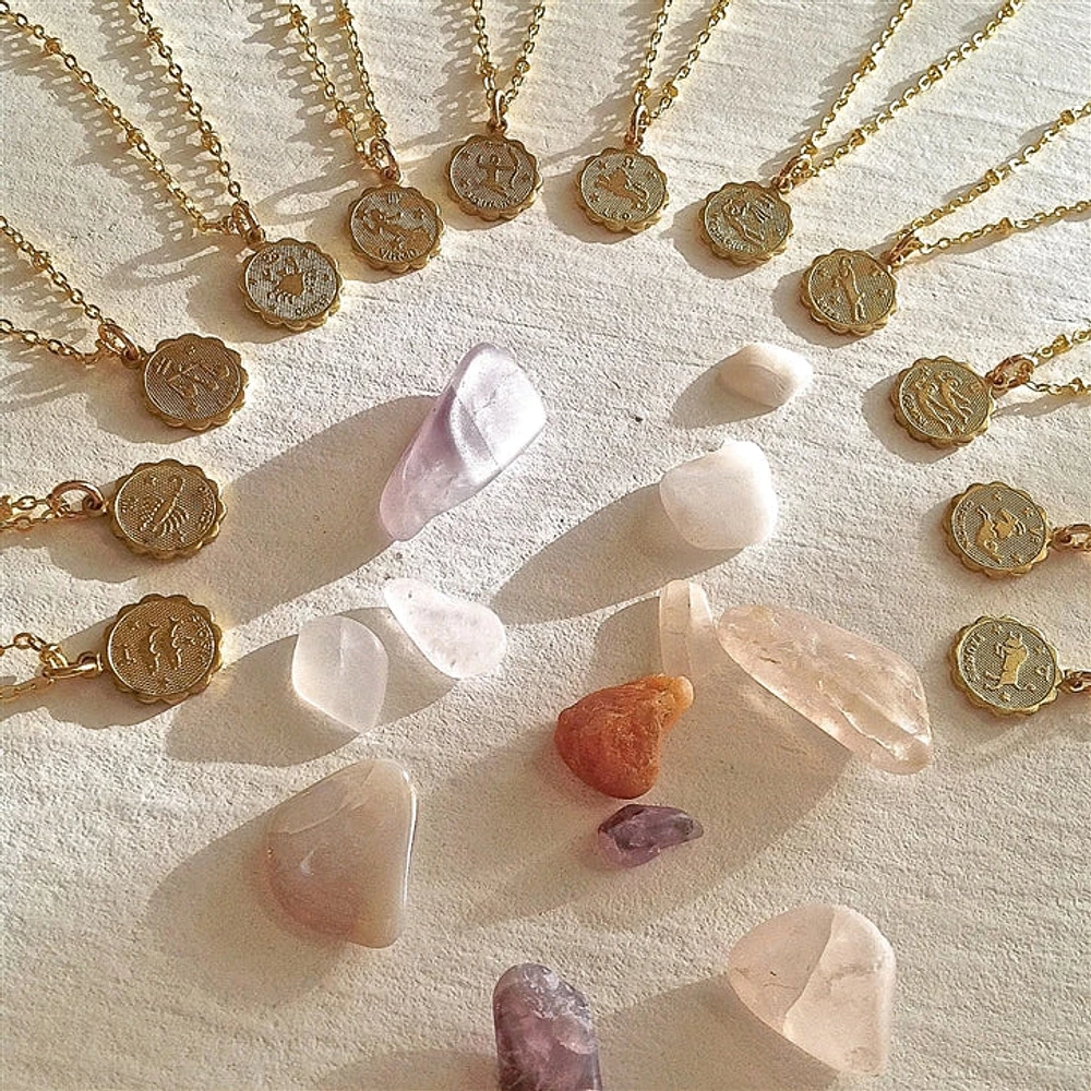 Pisces Zodiac Charm Necklace