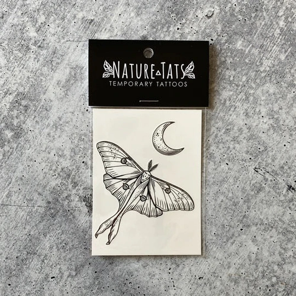 Polilla lunar