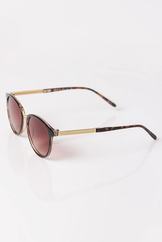 Rounded Plastic Sunglasses with Metal Trim