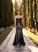 Vision in Lace