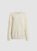 Mini Sequin Crew Neck Sweater