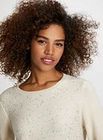 Mini Sequin Crew Neck Sweater