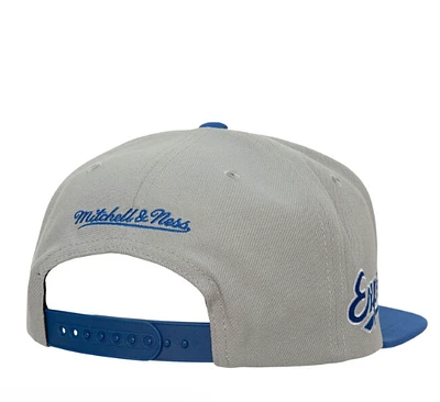 MLB EVERGREEN PRO SNAPBACK COOP TORONTO BLUE JAYS CAP