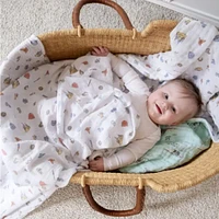 Cotton Muslin Swaddles (2) - Harry Potter