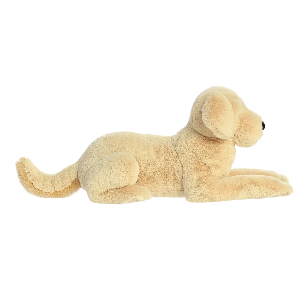 Cooper Dog 25''