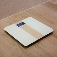 Evolutive Digital Baby Scale