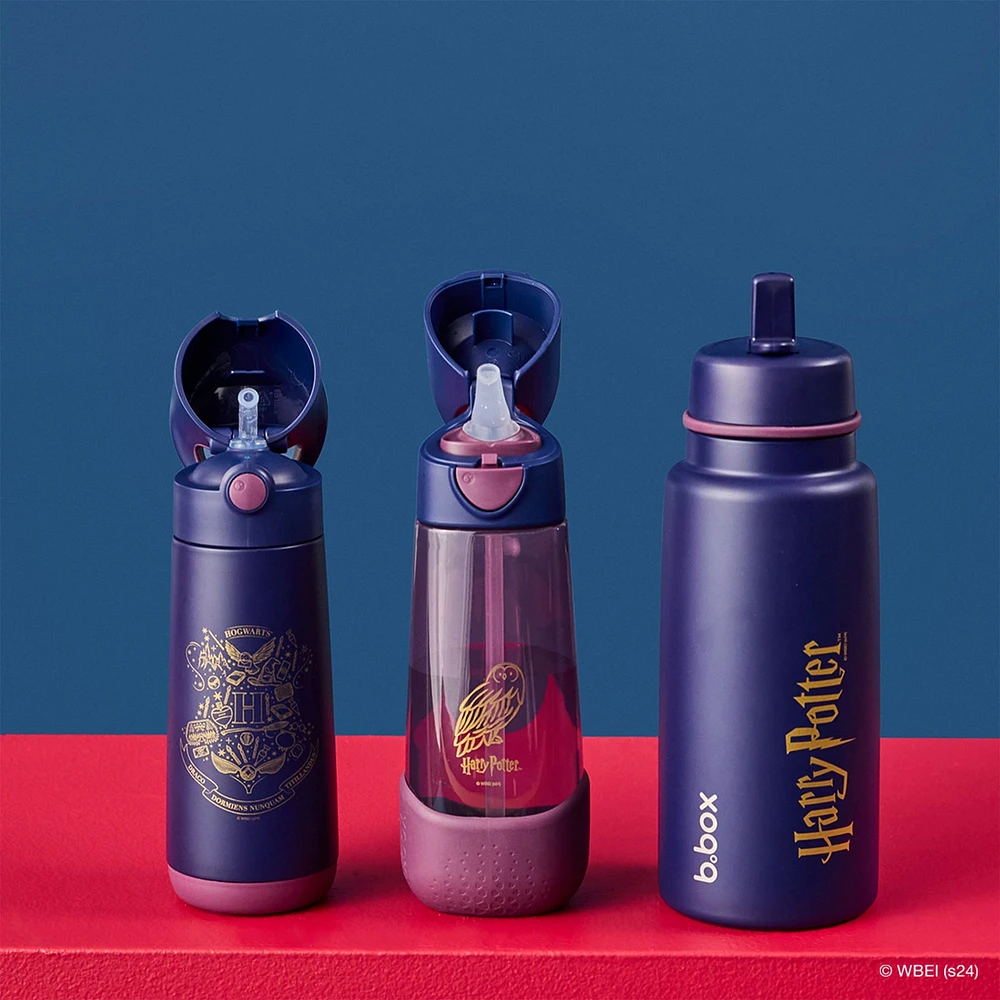 Bouteille Tritan 600ml - Harry Potter