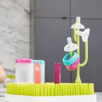 Cactus Pour Egouttoir Vert