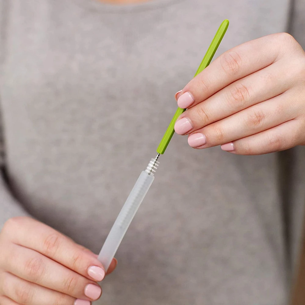 Ensemble de Brosses Cacti - Cactus