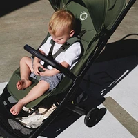 Butterfly 2 Stroller- Forest Green