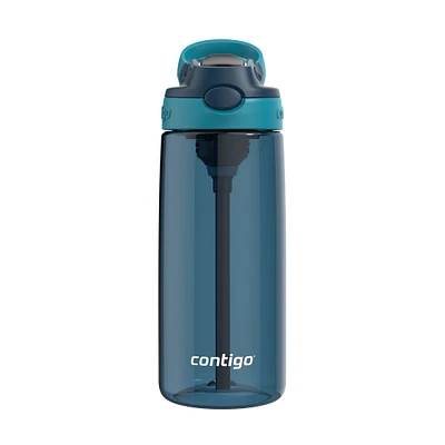 Aubrey Leak-Proof Spill-Proof Water Bottle - Blueberry & Juniper 20 oz