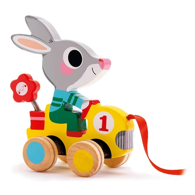 Pull Along Toy - Roulapic