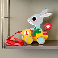 Pull Along Toy - Roulapic