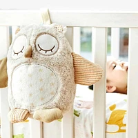 Nighty Night Owl™ Light Smart Sensor