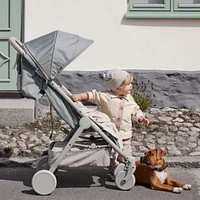 Mondo Stroller - Pebble Green