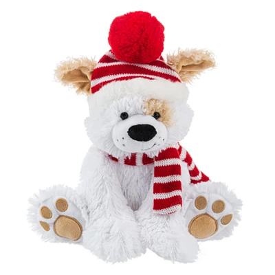 Chiot avec foulard