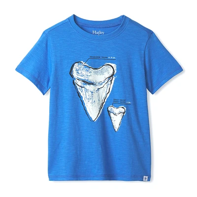 Shark T-Shirt 2-8y