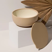 Silicone Suction Bowl with Lid