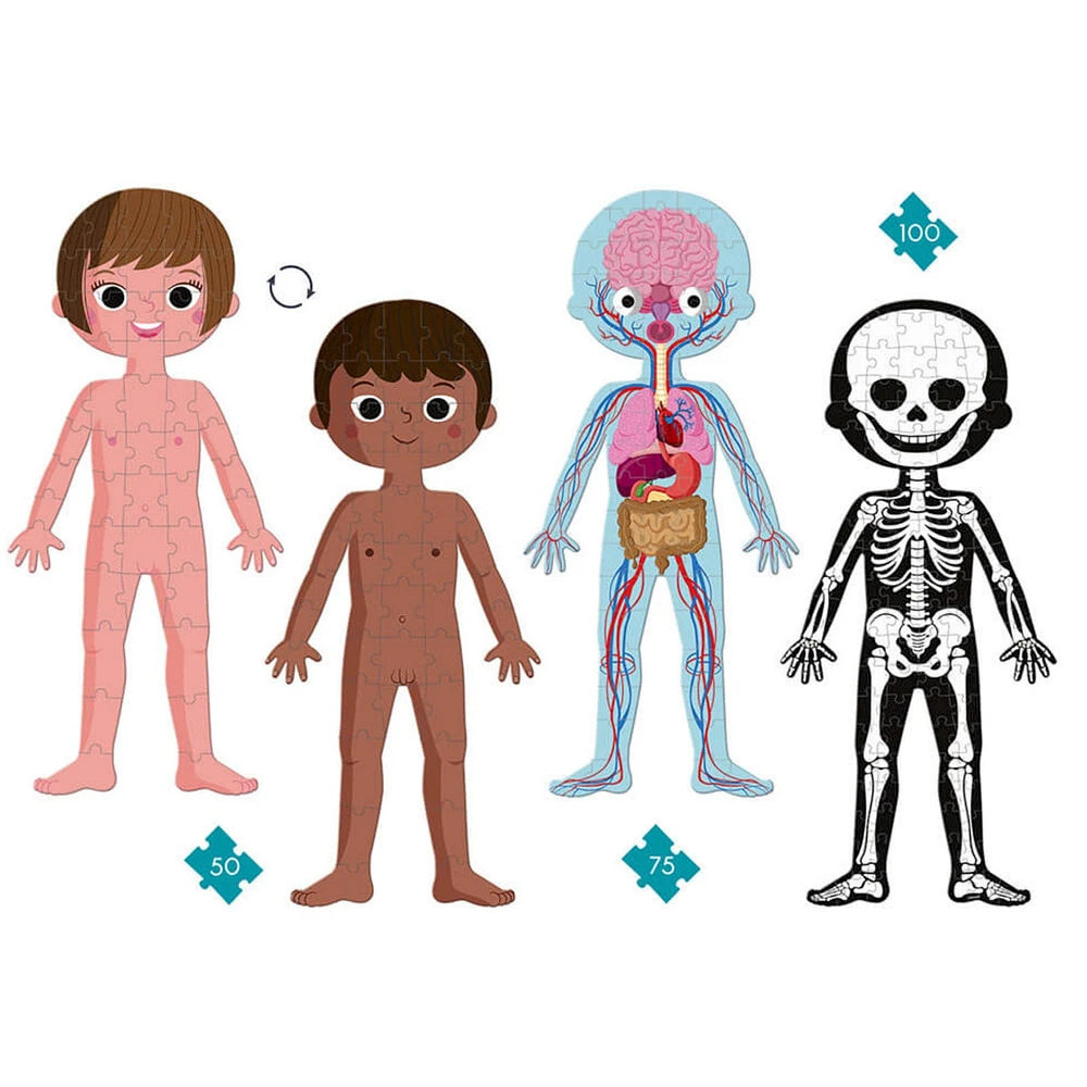 Educational Puzzle Human Body 