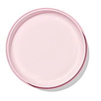 Stick & Stay Suction Plate