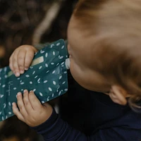 Reusable Food Pouches (6