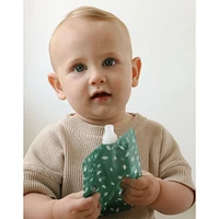 Reusable Food Pouches (6