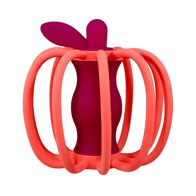Teether & Rattle Toy