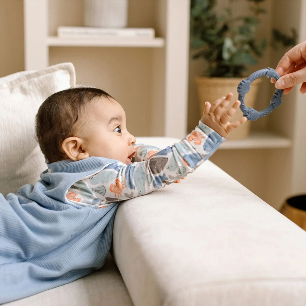 Teething Ring Set - Shark
