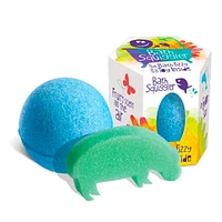 Bombe de Bain Et Éponge - Assorties