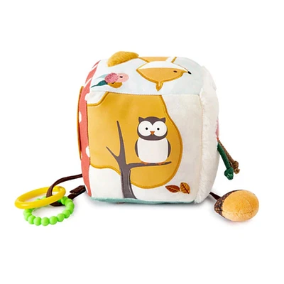 Activity Cube - Forest