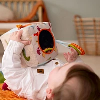 Activity Cube - Dino
