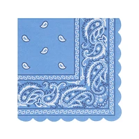 Western Small Napkins (16)