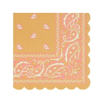 Western Small Napkins (16)