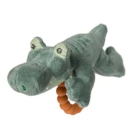 Alligator de Dentition