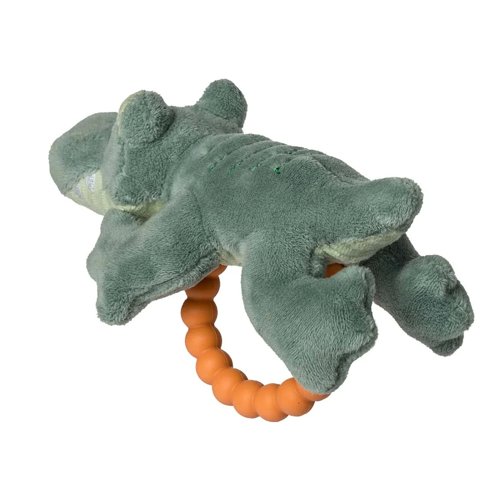Alligator de Dentition