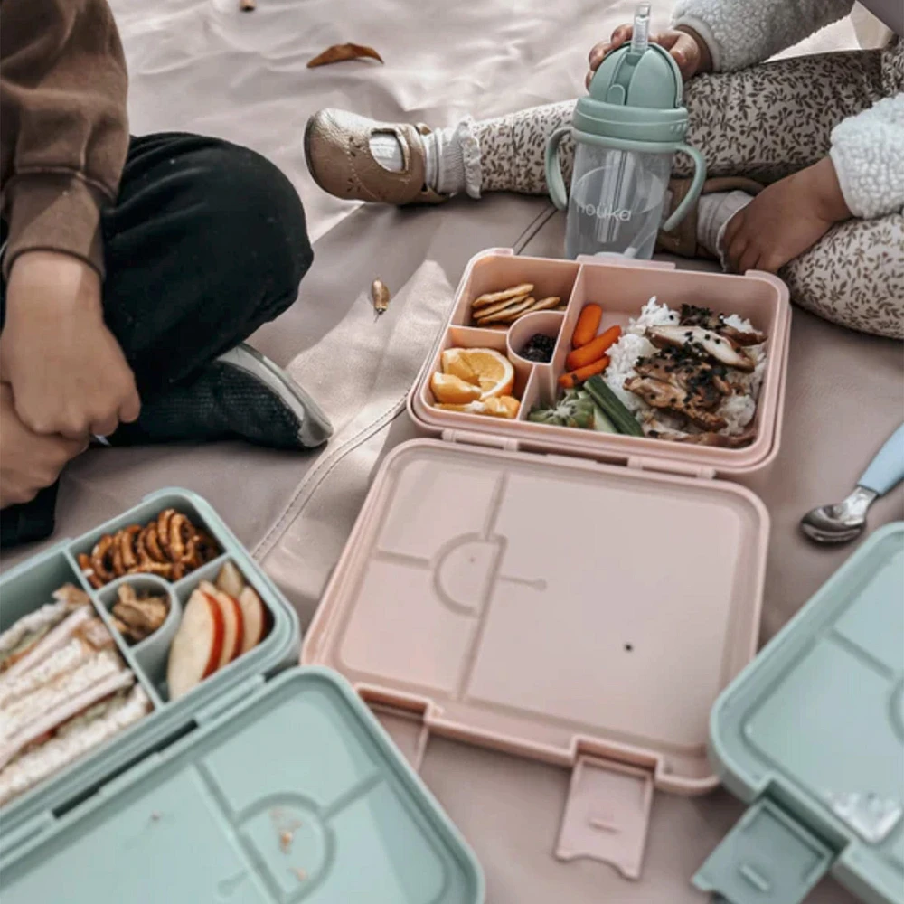 Boite à Lunch Bento - Dazzle