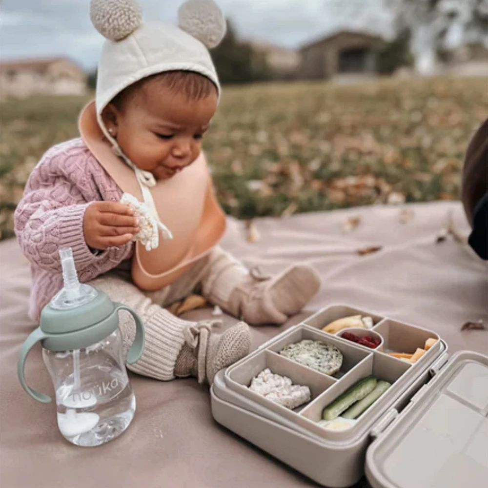 Bento Lunch Box - Fairy Bush