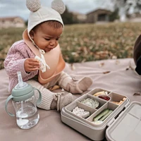 Bento Lunch Box - Fairy Bush